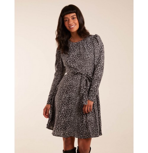 Leopard Print Round Neck Skater Mini Dress